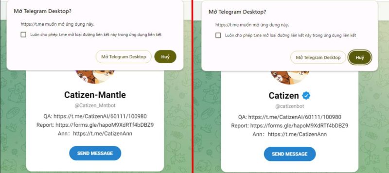 hướng dẫn chơi game catizen