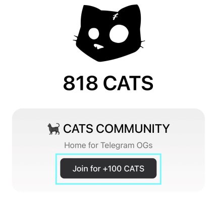 hướng dẫn săn cats airdrop