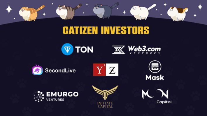 nhà đầu tư catizen