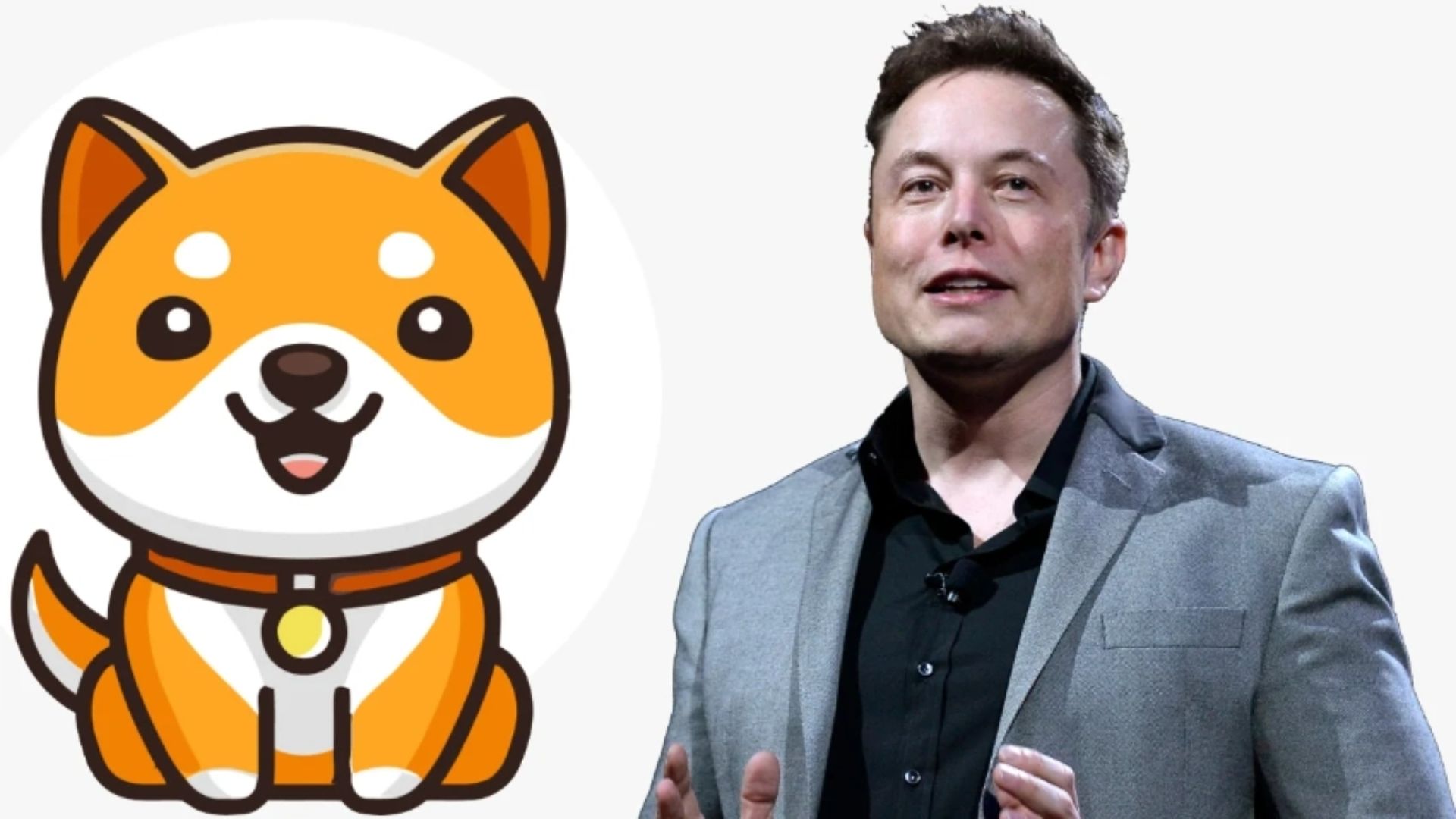 baby Doge Coin thu hút sự chú ý từ Elon Musk